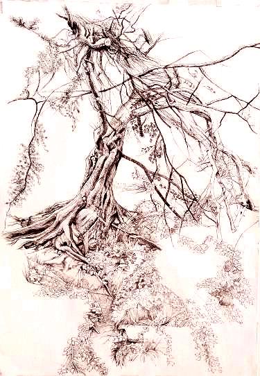 Baby Banyan