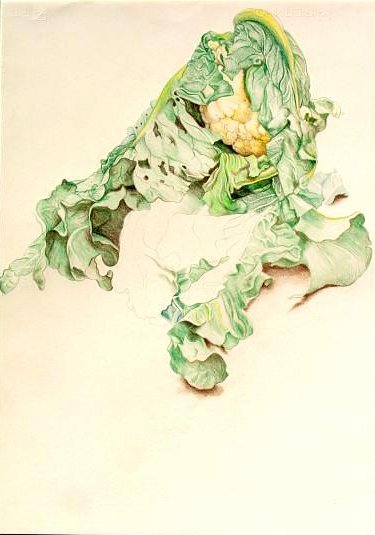 Cauliflower