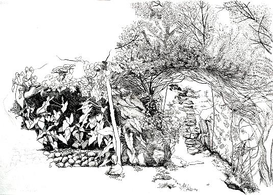 Fanny Garden, India
