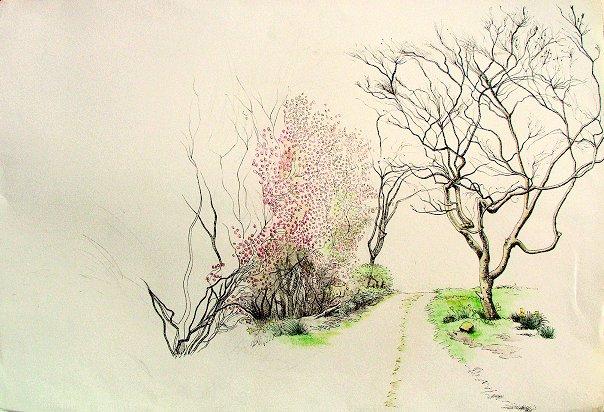 The Garden's House Path