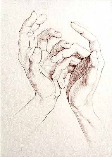 Hand Study 4