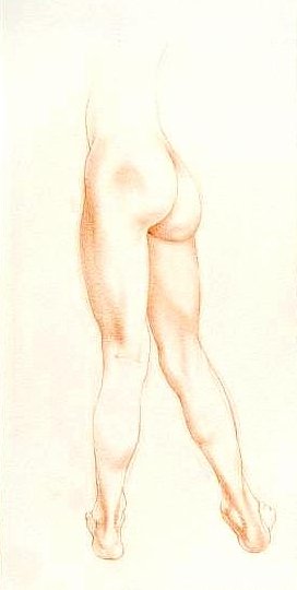 Study of Legs