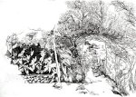 Fanny Garden, India