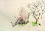 The Garden's House Path