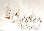 Hands and Feet