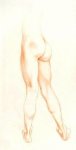 Study of Legs