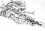 Windswept