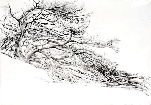 Windswept
